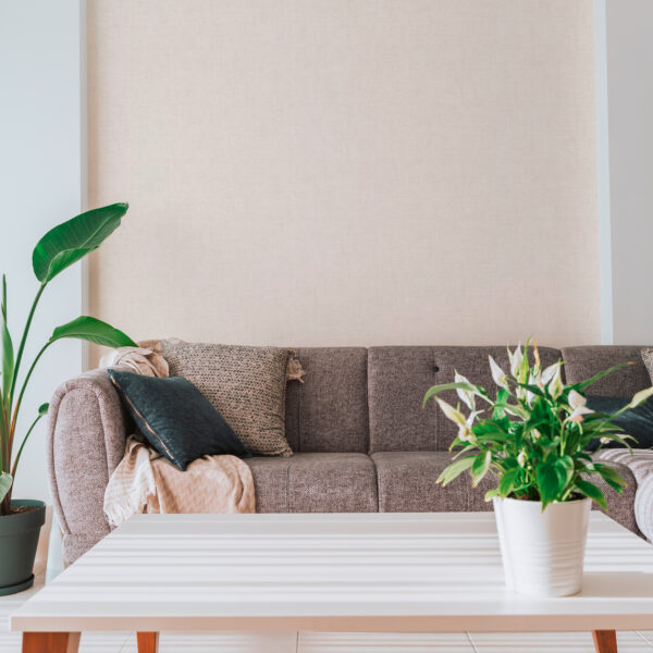 tapeten wohnzimmer