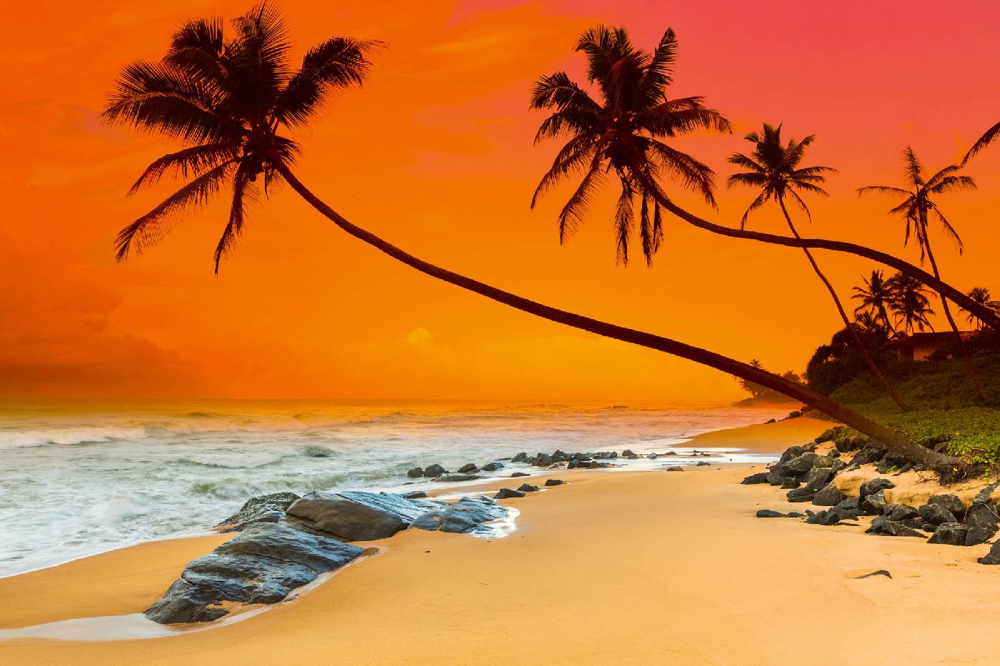 Tapeten fürs Schlafzimmer