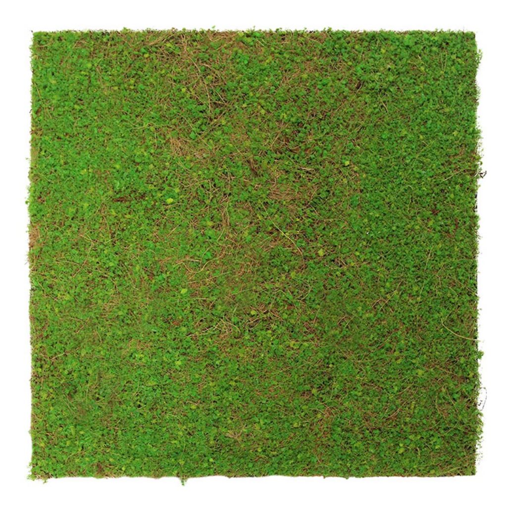 Wandpaneel Nature Design Flora Light Green Coconut | 52 x 52 cm
