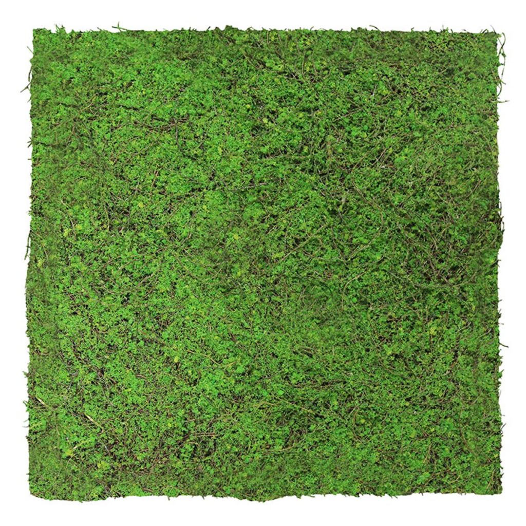 Wandpaneel Nature Design Flora Forest Green Ancient Tree | 52 x 52 cm