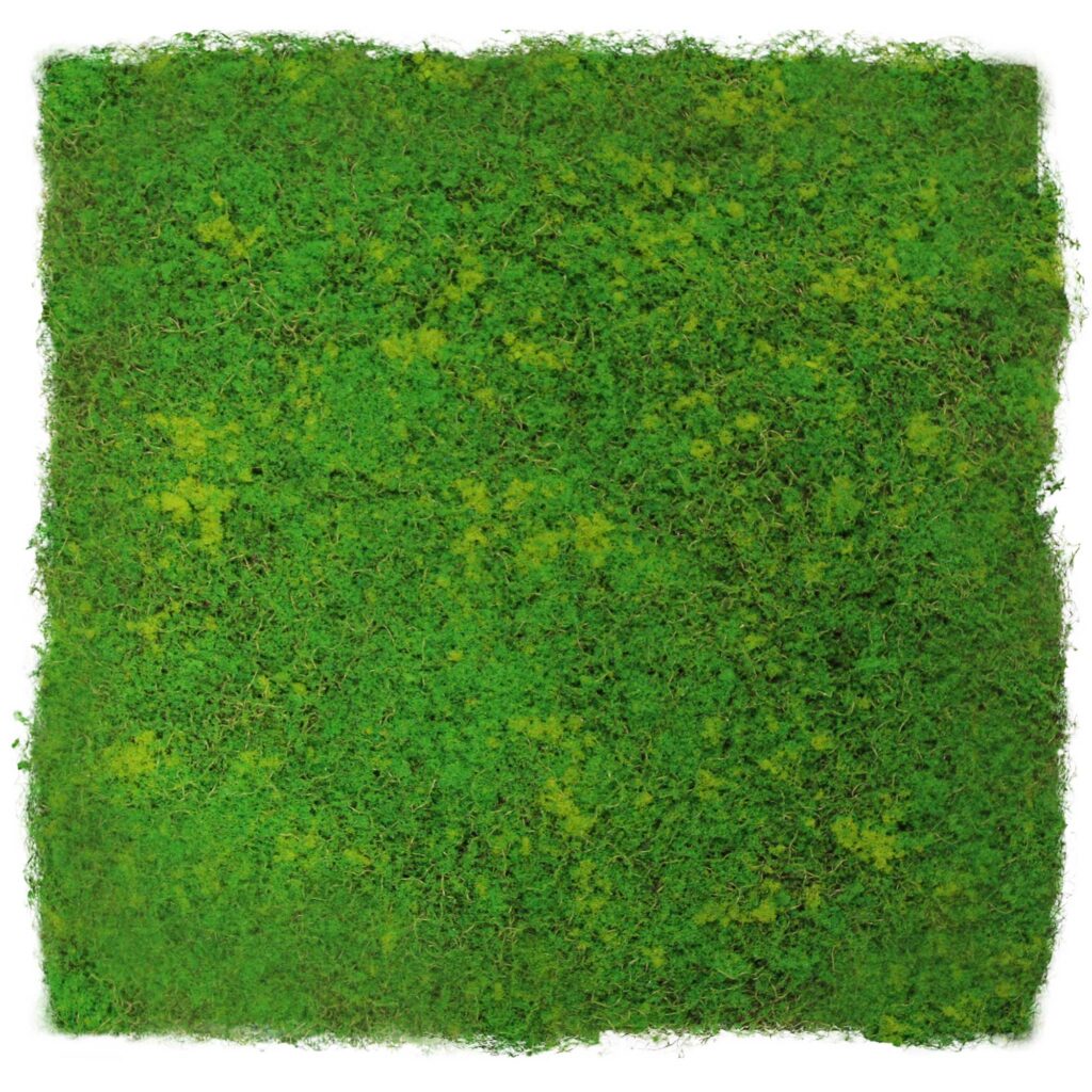 Wandpaneel Light Green Fibre Design Moos | 52 x 52 cm